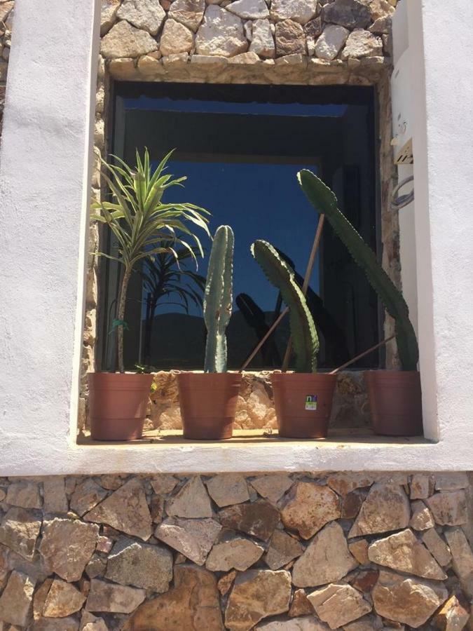 Ferienwohnung Chalet Nativo - Fabulous Terrace & Vineyard Valle de Guadalupe Exterior foto